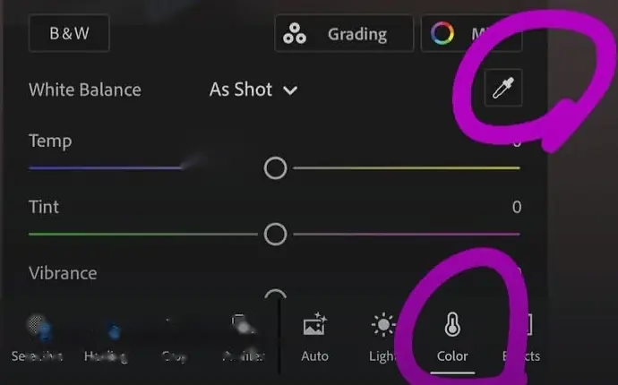 محل قطره‌چکان وایت بالانس در بخش Color اپ لایت‌روم