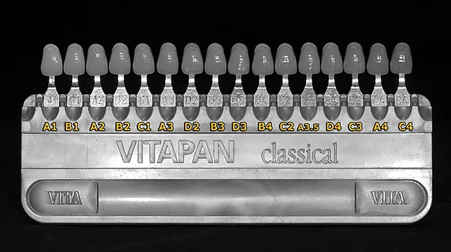 شید گاید VITAPAN classical به صورت سیاه‌سفید، مرتب‌شده بر اساس value